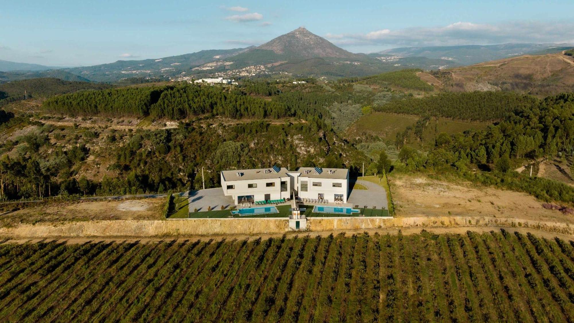 Casa Dos Mirtilos Draper T6 Celorico De Basto Eksteriør billede
